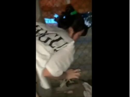 Mencuri dengan beruang di belakang kandang Babi Mencuri dengan beruang di belakang kandang Babi